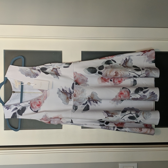 NWT Ted Baker Size 4 Dress - Picture 3 of 7